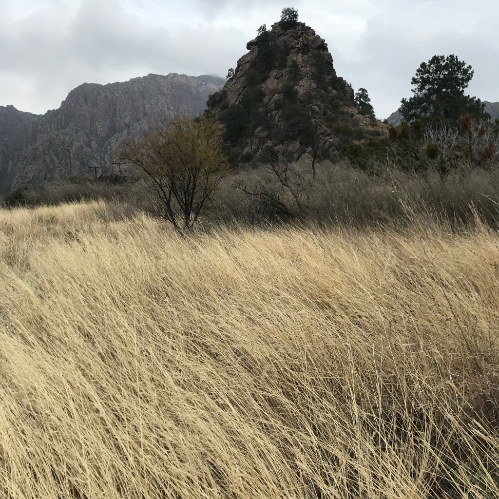Big Bend National Park, TX